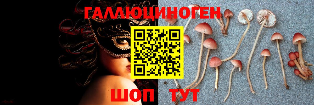 Псилоцибиновые грибы прущие грибы Партизанск