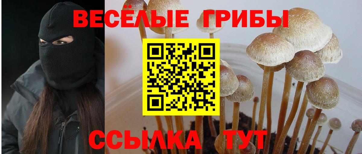 Псилоцибиновые грибы мухоморы  Галлюциногенные грибы Psilocybe  Вход с VPN  Партизанск 